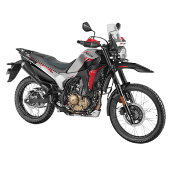 Rent Hero Xpulse 210 BS6 Delhi